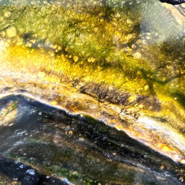"Shades of Green" – Bild 6