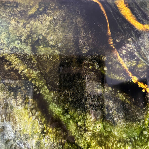 "Shades of Green" – Bild 10