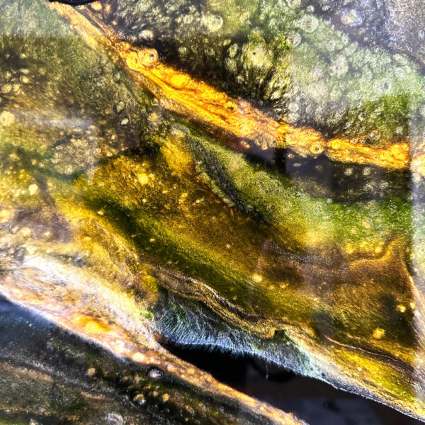 "Shades of Green" – Bild 8